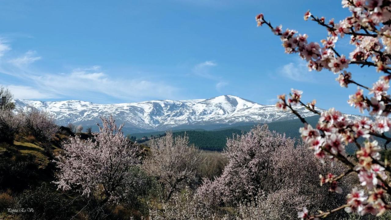 Molino De Santa Agueda Βίλα Jeres del Marquesado Εξωτερικό φωτογραφία