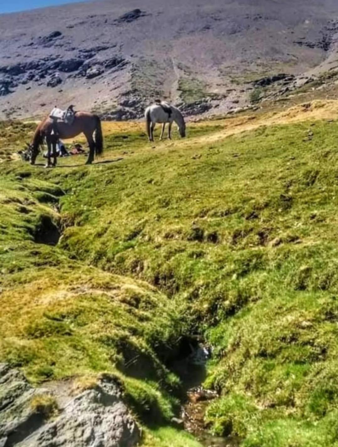 Molino De Santa Agueda Βίλα Jeres del Marquesado Εξωτερικό φωτογραφία