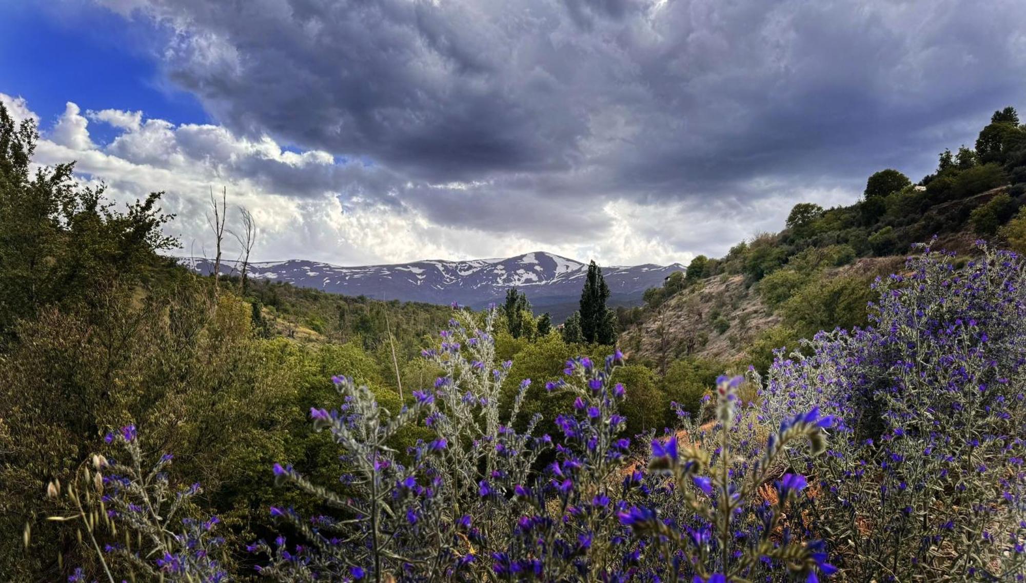 Molino De Santa Agueda Βίλα Jeres del Marquesado Εξωτερικό φωτογραφία